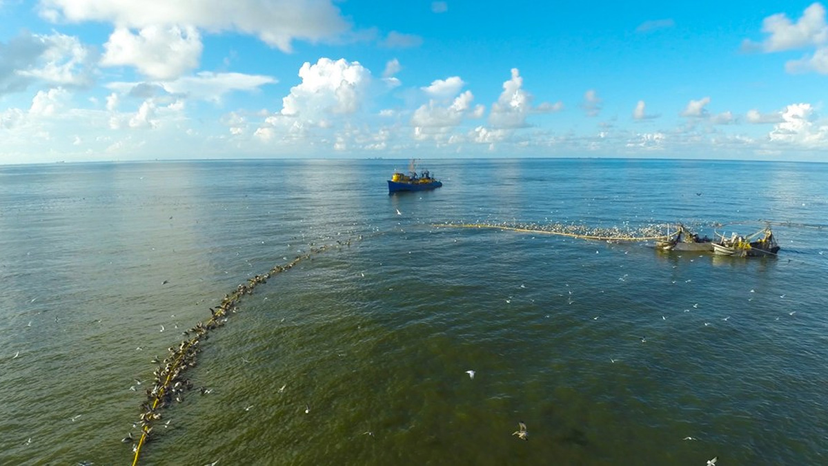 Swanson Family Documentary