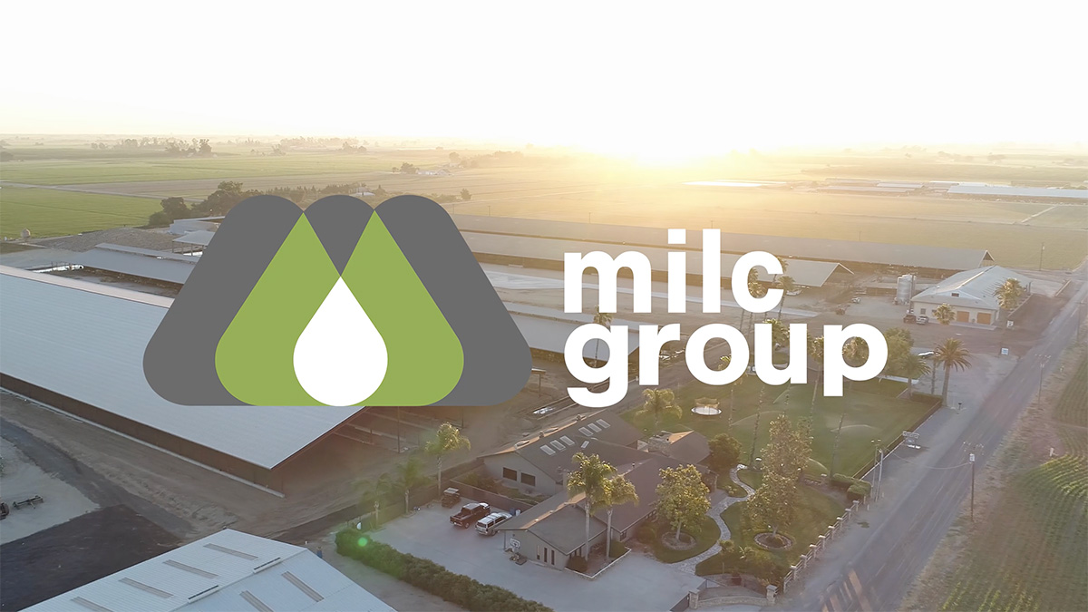 See the MILC Group About Us Video
